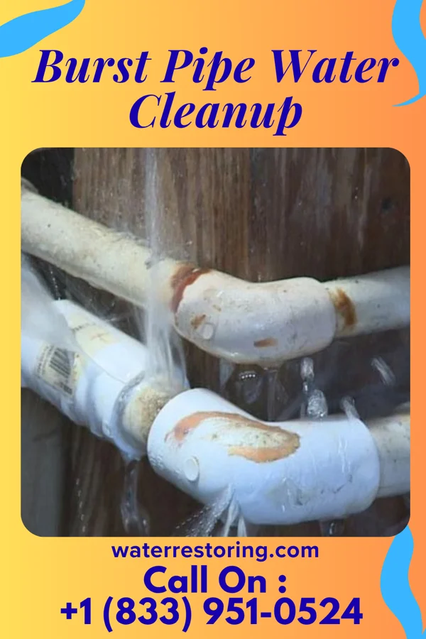 Burst Pipe Water Cleanup in East Conemaugh, PA