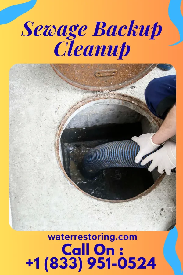 Sewage Backup Cleanup in East Conemaugh, PA