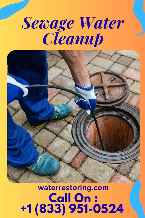 Sewage Water Cleanup in East Conemaugh, PA