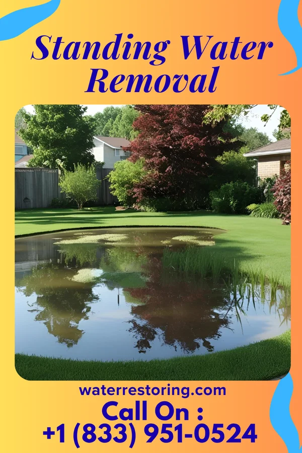 Standing Water Removal in East Conemaugh, PA